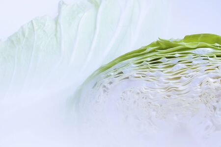 Cabbageの写真素材