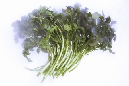 Watercressの写真素材