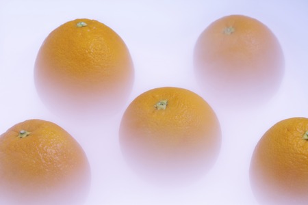 Orangeの写真素材