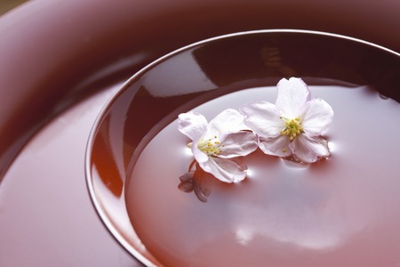 Cherry and glassの写真素材