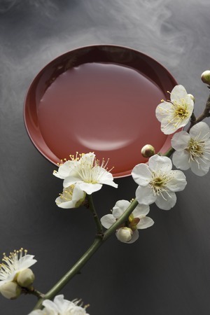 Plum flower and glassの写真素材