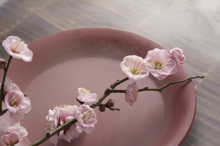 Plum flower and glassの写真素材