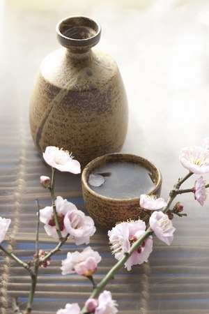 Japanese sake and plum flowerの写真素材