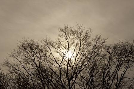 Sunset mountainの写真素材