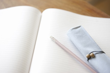 Pencil case and pencil