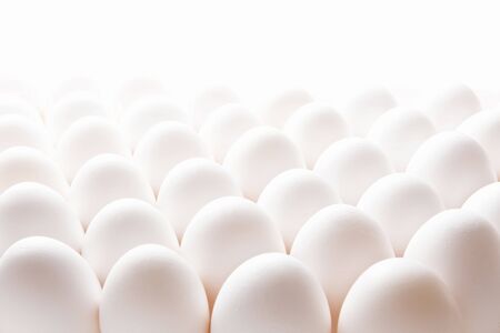 Eggの写真素材