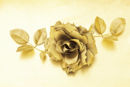 Gold roseの写真素材