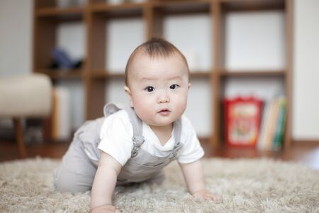 Baby to crawlの写真素材
