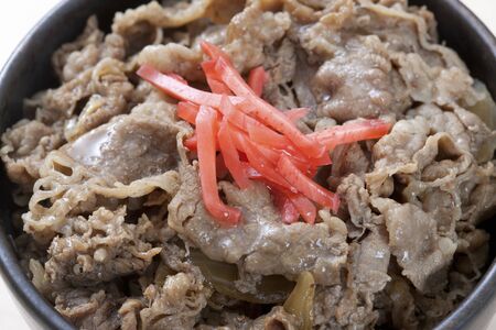 Beef Bowlの写真素材