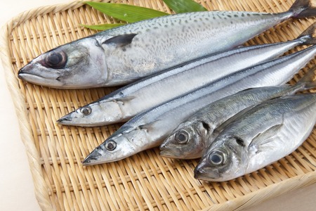 Fresh fishの写真素材