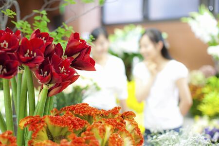 Female flower shop clerk and customerの写真素材