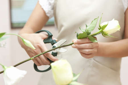 Flower arrangementの写真素材