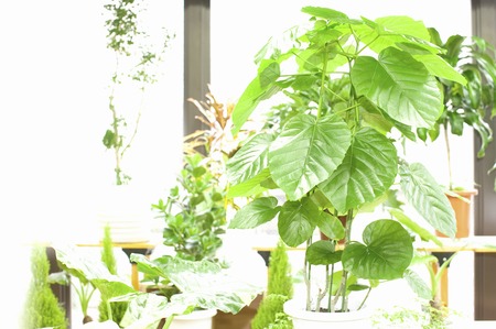Umbertoの写真素材
