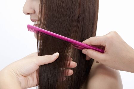 Women especially the hair with a combの写真素材