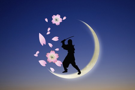 Ninja silhouetteの写真素材