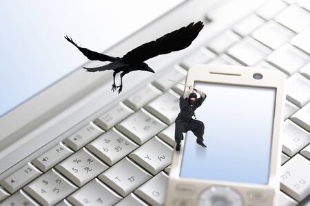 Ninjaの写真素材