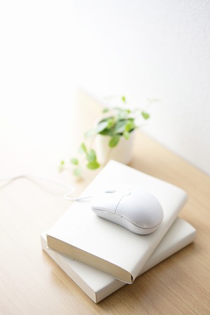 Mouse was placed on the bookの写真素材