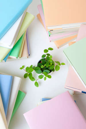 Pile of books and plants