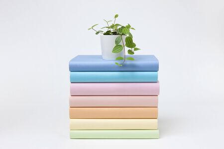 Pile of books and plantsの写真素材