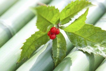 Senryoの写真素材