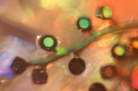 Optical image