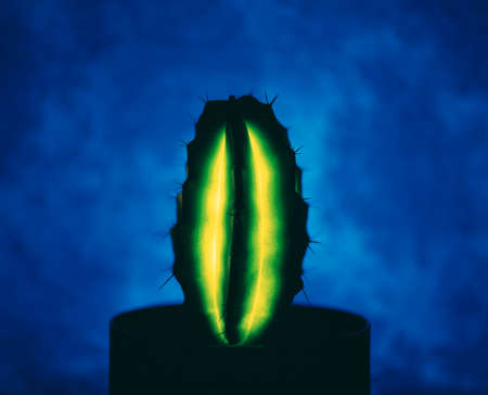 Lightの写真素材