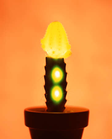 Lightの写真素材