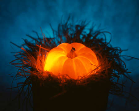 Lightの写真素材