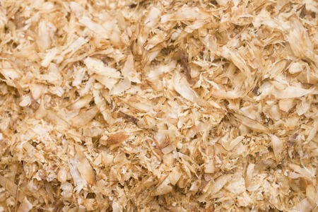 Saba clauseの写真素材