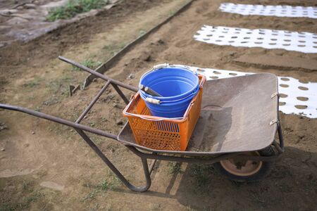 Nekogurumaの写真素材