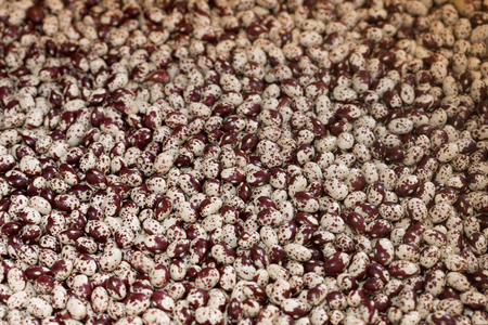 Beni Shibomameの写真素材