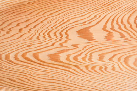 Cedar planksの写真素材