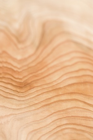 Cedar planksの写真素材