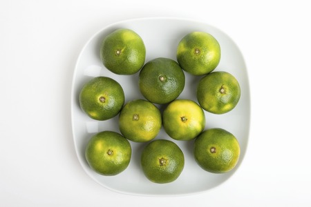 Blue Waseda Mikanの写真素材