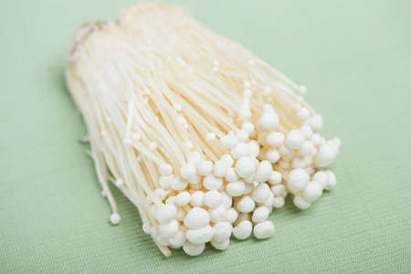 Enokidakeの写真素材