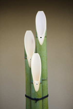 Kadomatsuの写真素材