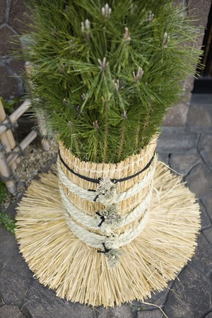 Kadomatsuの写真素材