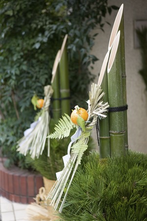 Kadomatsuの写真素材