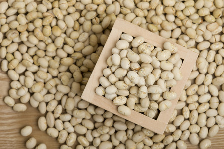 Setsubun red demon and soybeansの写真素材