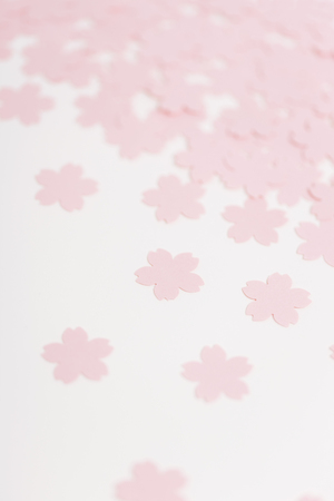 Sakura patterned backgroundの写真素材