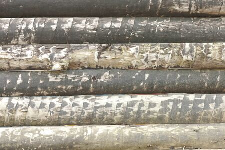 The wall of logs
