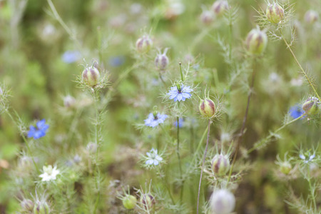 Two galleyの写真素材