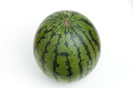 Watermelonの写真素材