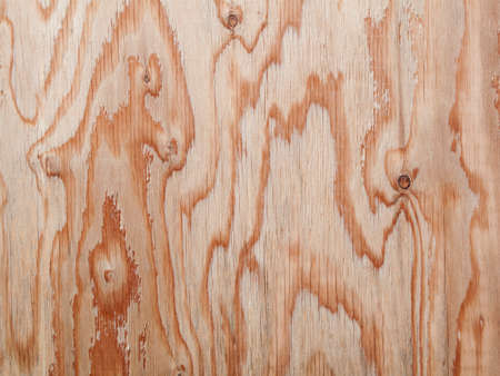 Plate wallの写真素材