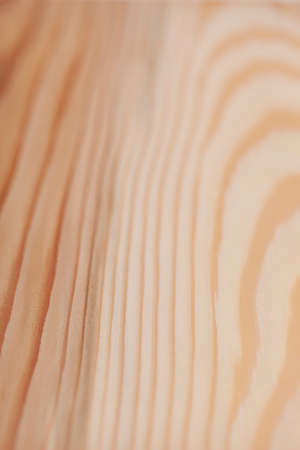 Cedar planksの写真素材