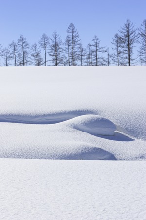 Snowscape and Namikiの写真素材