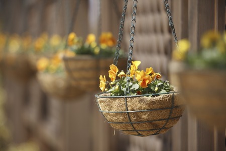 Gardeningの写真素材