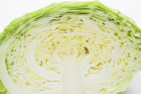 Cabbageの写真素材