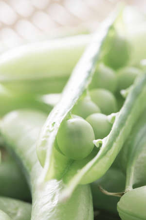 Pea beansの写真素材