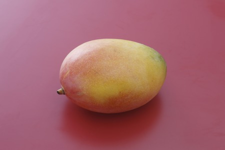 Mangoの写真素材